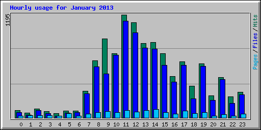 Hourly usage for January 2013